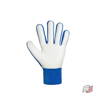 Gants gardien attrakt starter solid ad