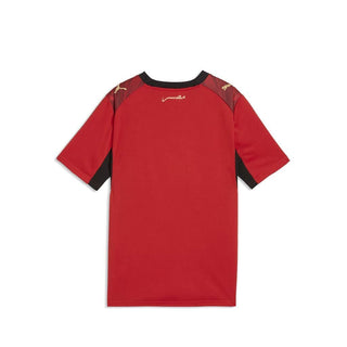 Maillot égypte home replique junior