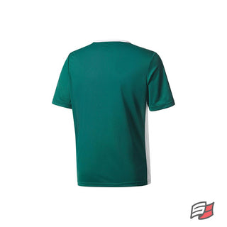 Entrada 18 jersey jr