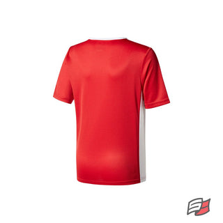 Entrada 18 jersey jr