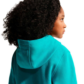 Nike club fleece hooded sweatshirt youth