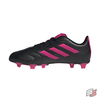 Goletto viii fg jr