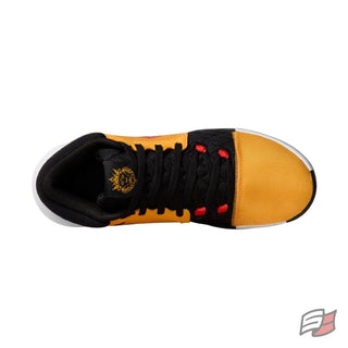 Lebron witness viii