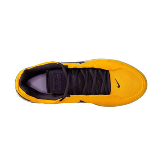 Lebron witness ix ad