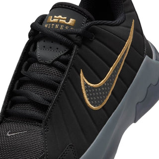 Lebron witness 9 jr