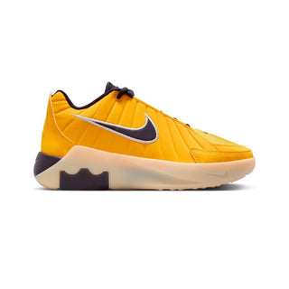 Lebron witness ix jr