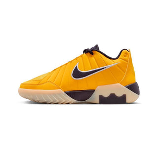 Lebron witness ix jr