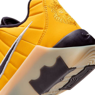 Lebron witness ix jr
