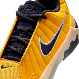 Lebron witness ix jr