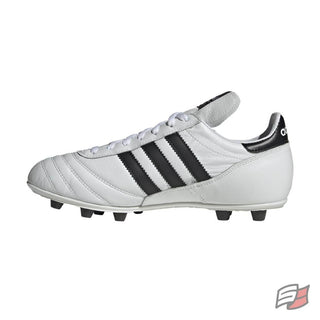 Copa mundial