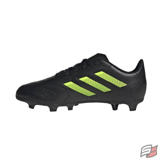 Goletto viii fg jr