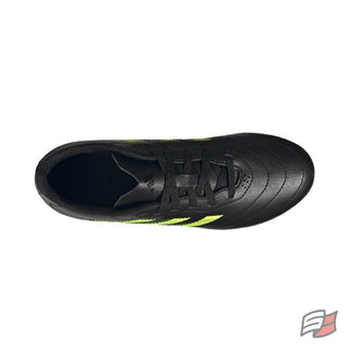 Goletto viii fg jr