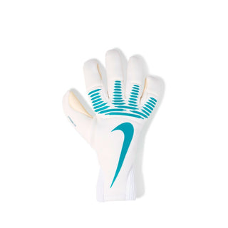 Nike dynamic fot gk gloves