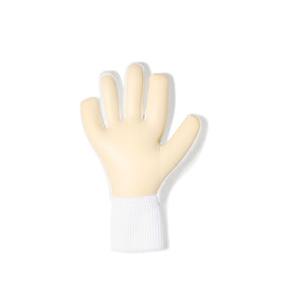 Nike dynamic fot gk gloves