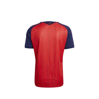 Maillot espagne home (homme)