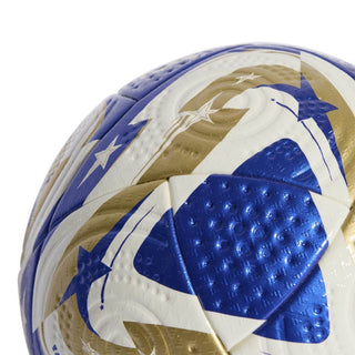 Clubs world cup final pro ball