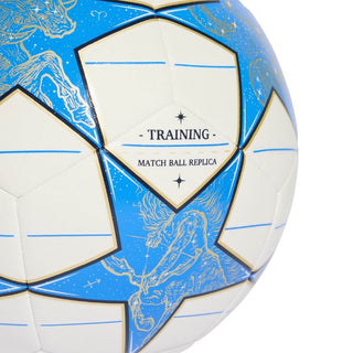Ballon ucl training