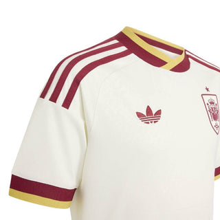 Maillot espagne away junior