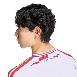 Croatia home shirt 26 ad