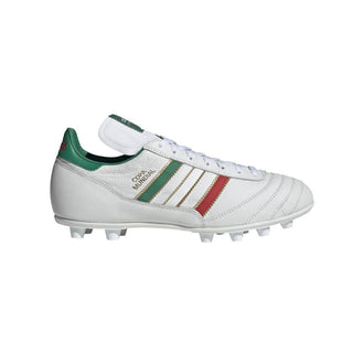 Copa mundial federation mexico