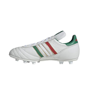 Copa mundial federation mexico