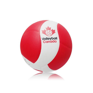 Ballon volleyball compétition canada