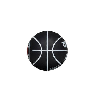 Mini ballon nba dribbler raptors toronto