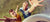 Ultimate frisbee | Accessoires