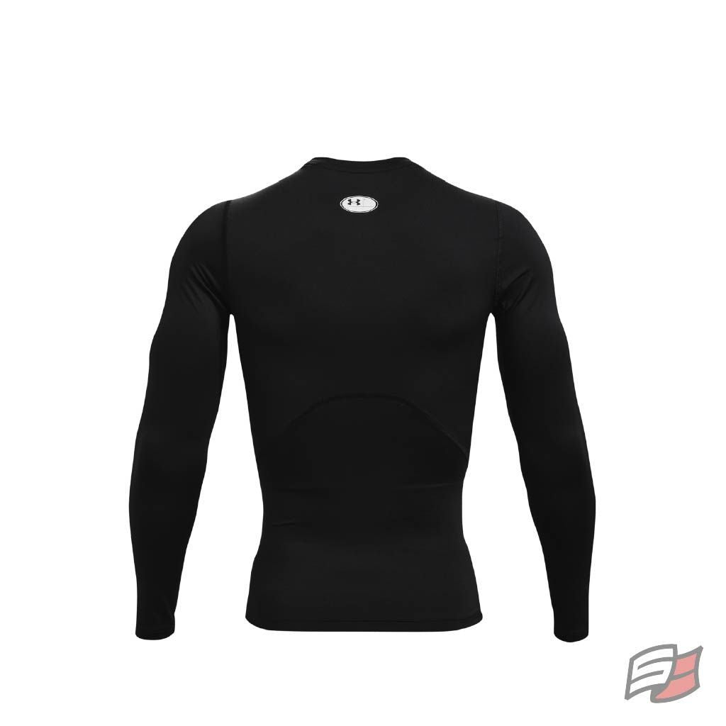 Heatgear armour l/s tee men's