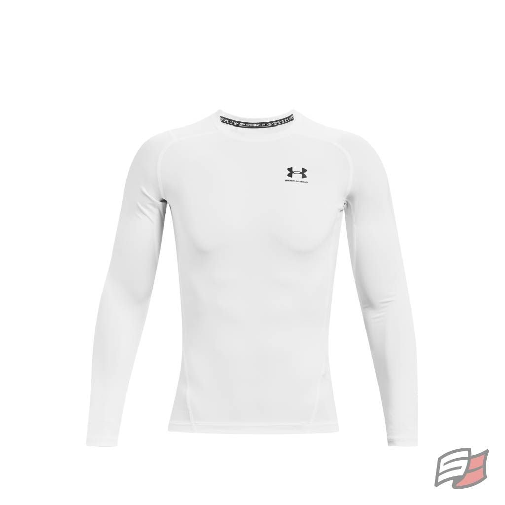 Heatgear armour l/s tee men's