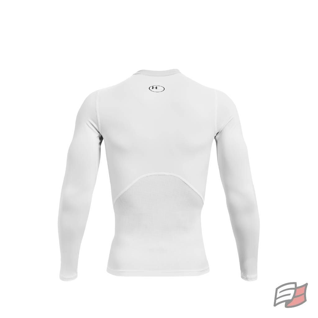 Heatgear armour l/s tee men's