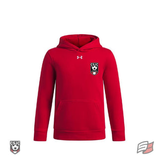 Team icon fleece hoodie youth red