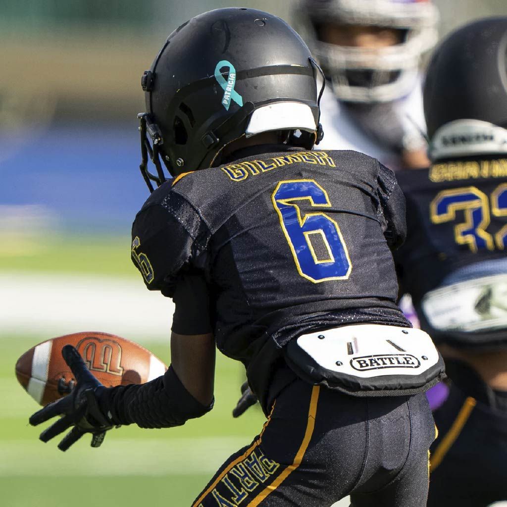 Plaque arrière de protection adulte