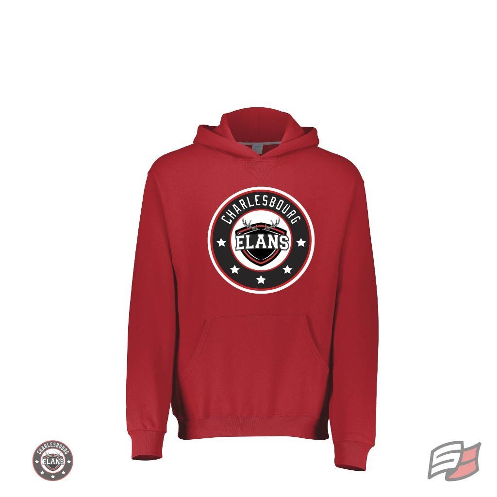 Dri-power fleece hoodie youth