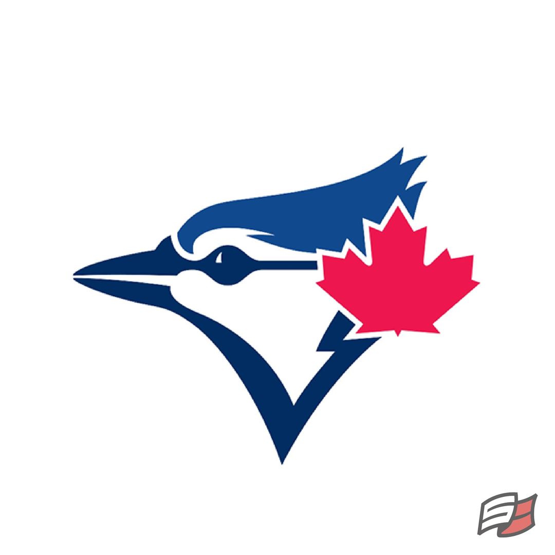 Lizard skin 1.1mm bat wrap toronto