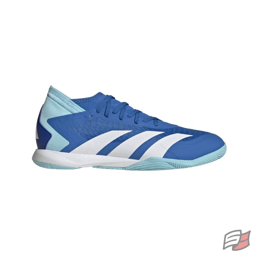 Predator accuracy.3 in