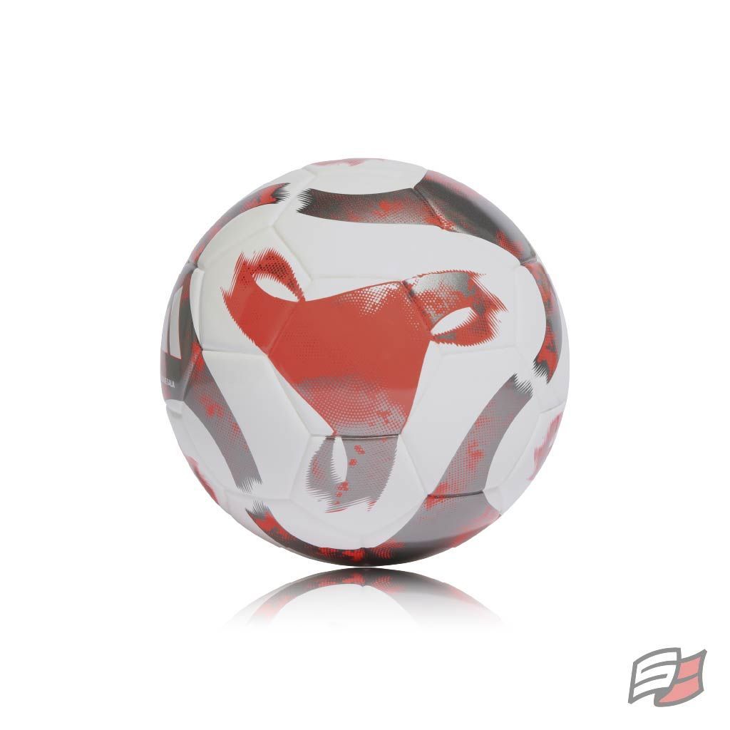 Tiro league sala ball