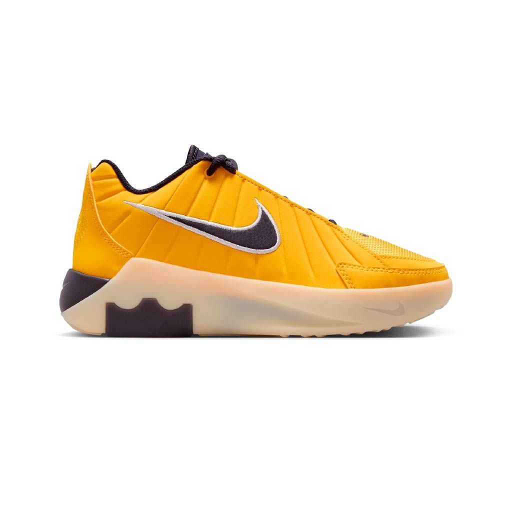 Lebron witness ix jr