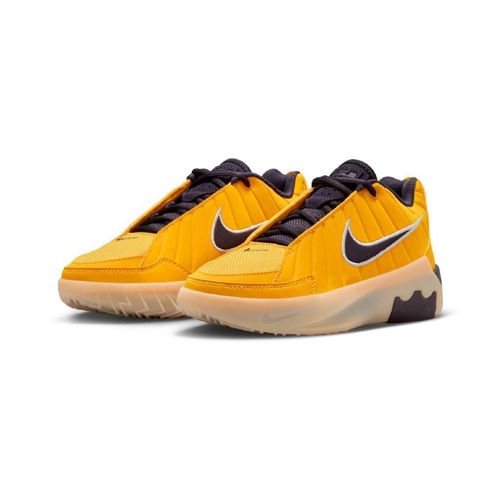 Lebron witness ix jr