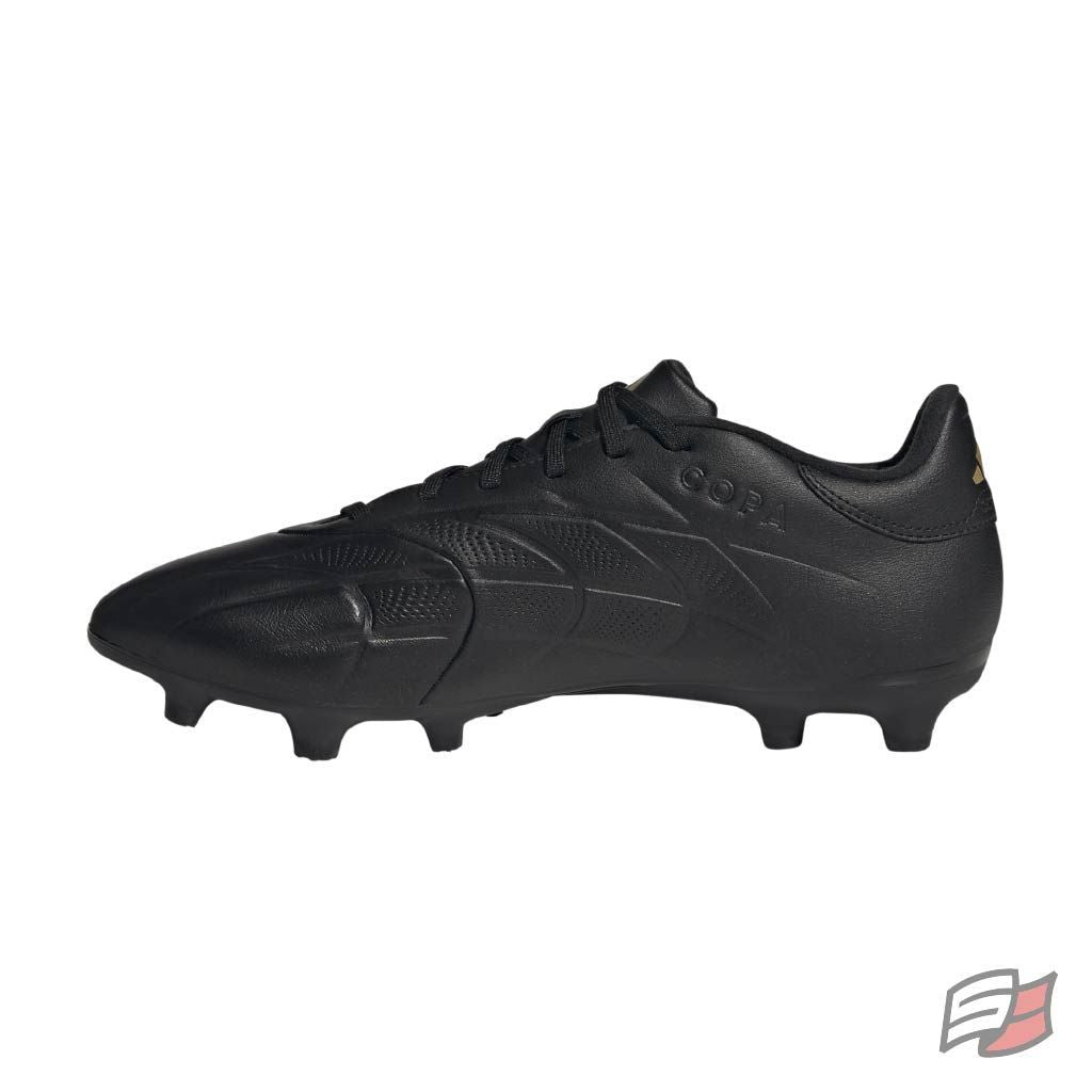 Copa pure 2 league fg