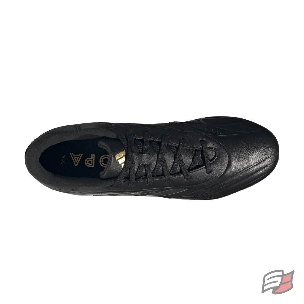 Copa pure 2 league fg