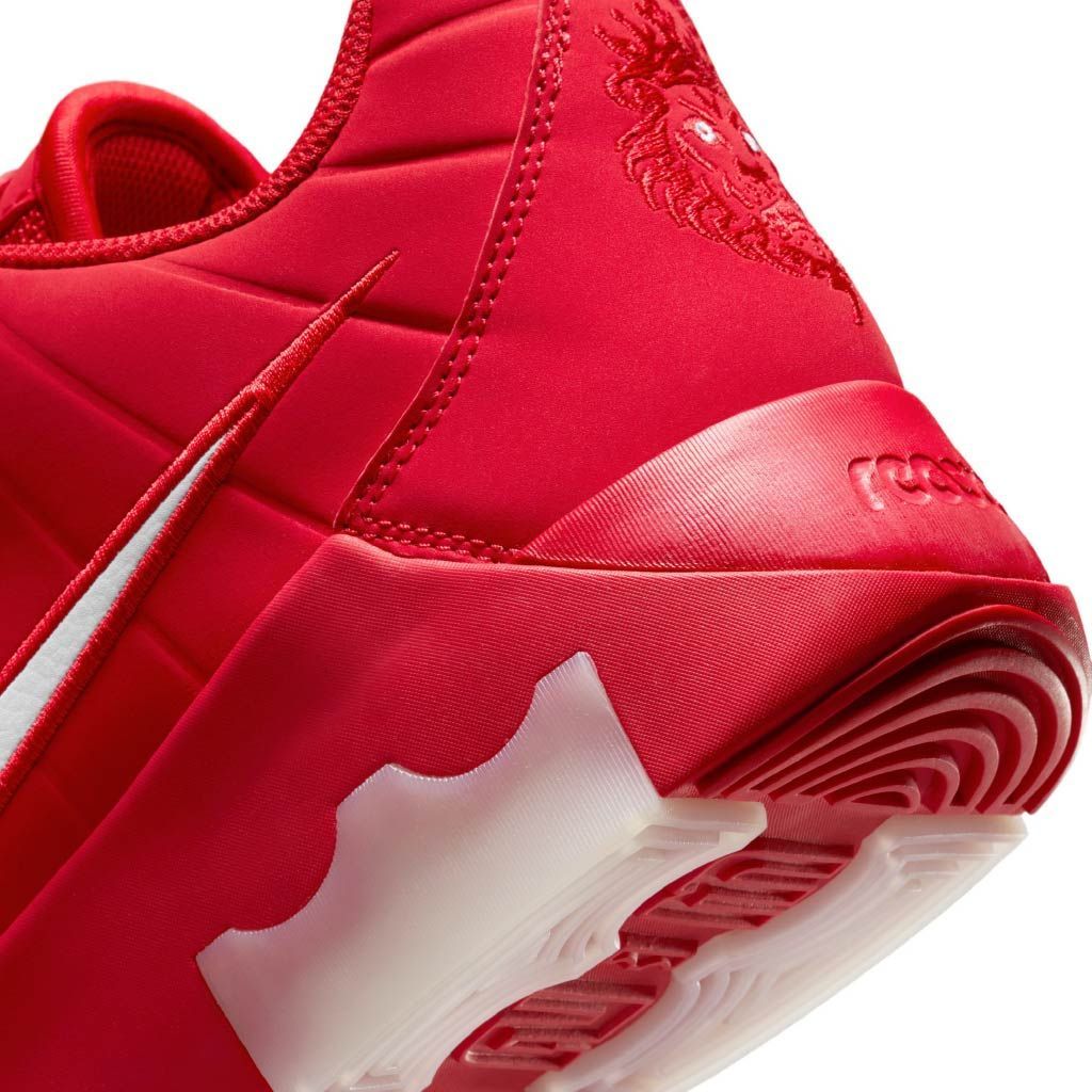 Lebron witness ix ad