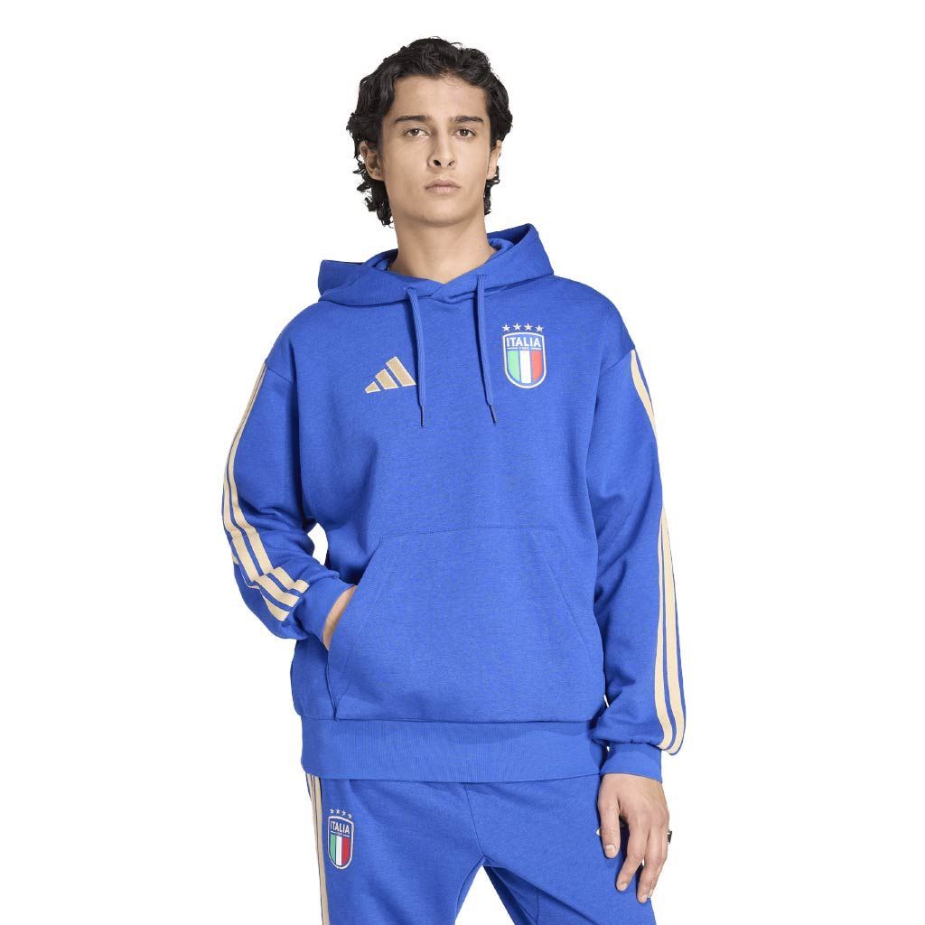 Italia hooded sweatshirt men's