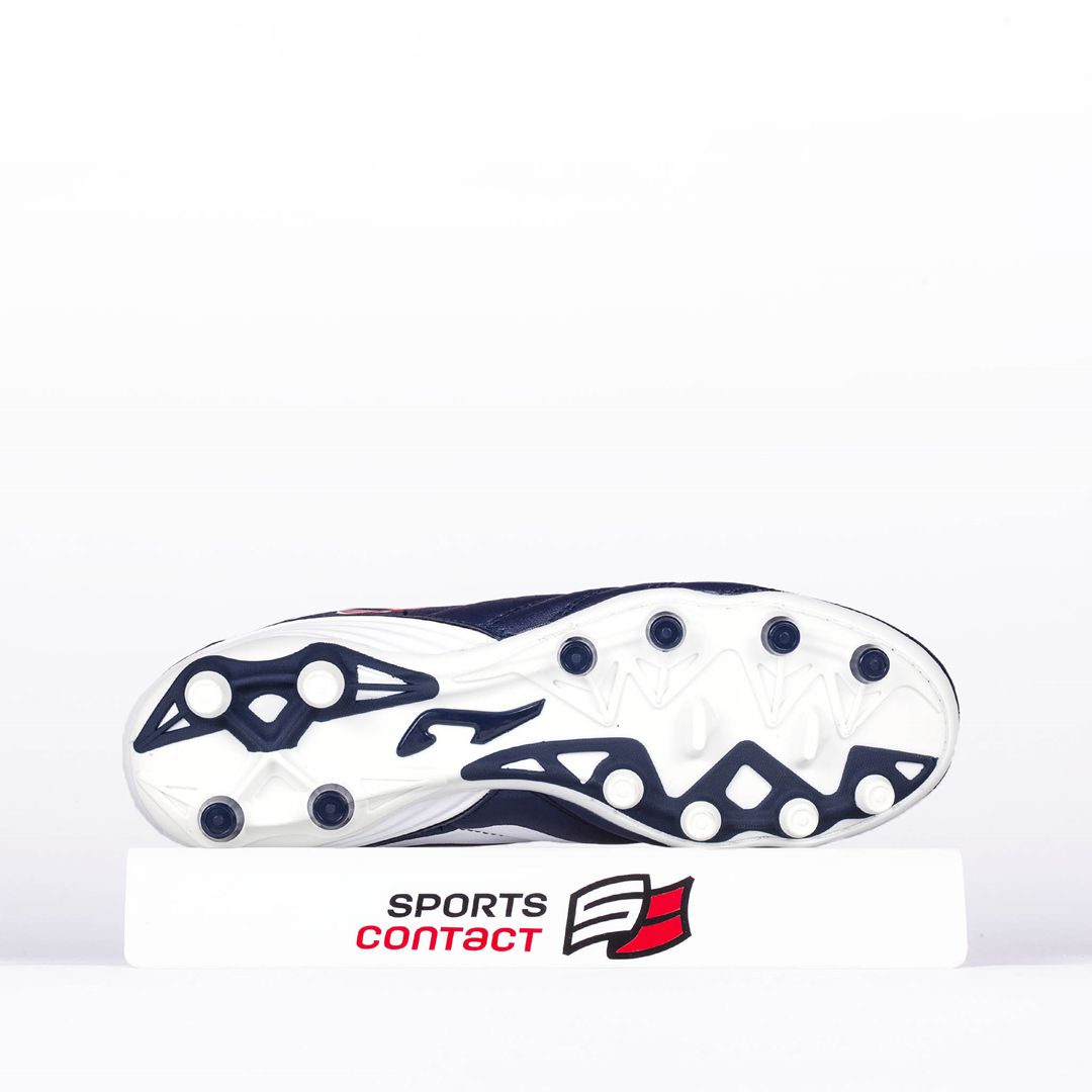 Numero 10 803 fg adulte