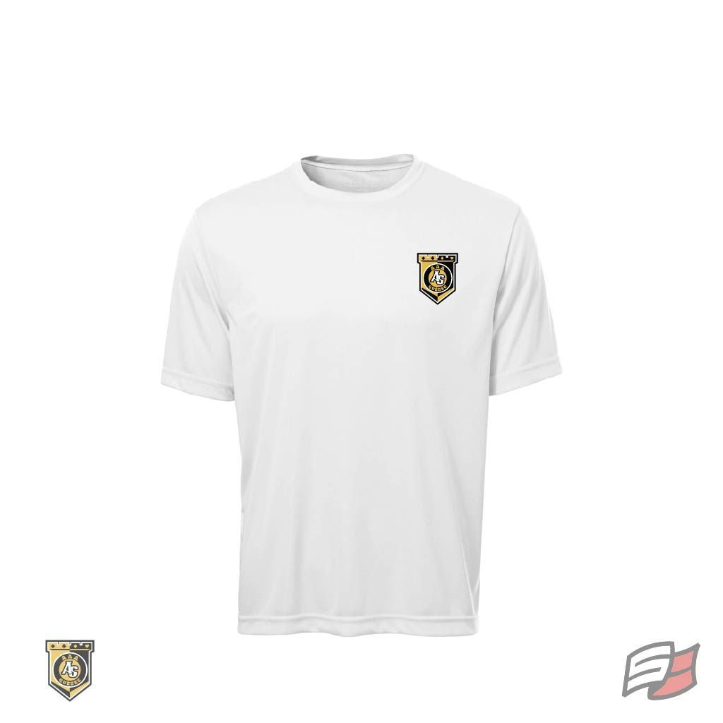 Dryfit s/s tee men's